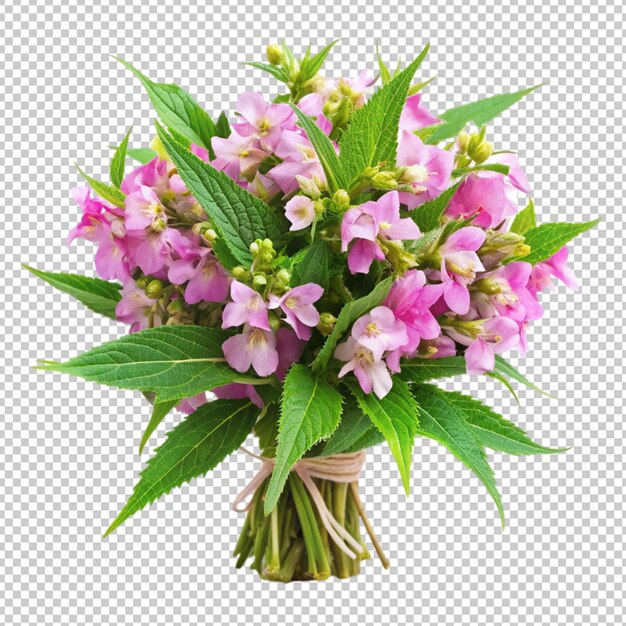 bouquet of balsam flowers on transparent background