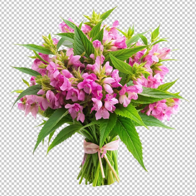 bouquet of balsam flowers on transparent background