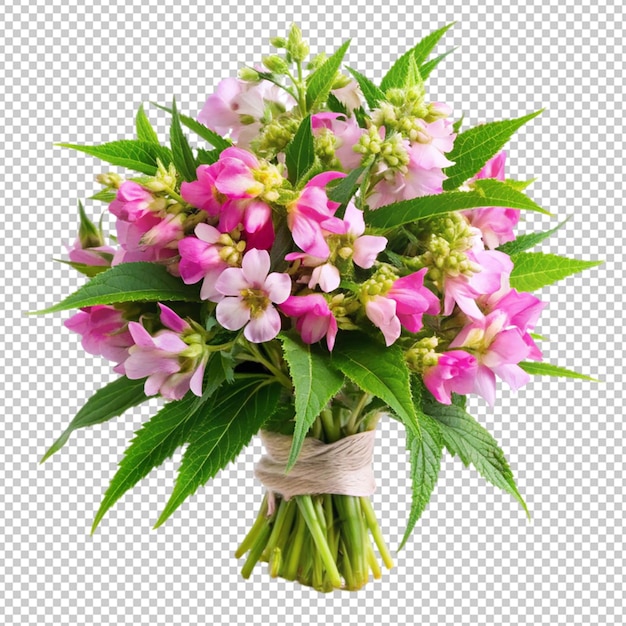 bouquet of balsam flowers on transparent background