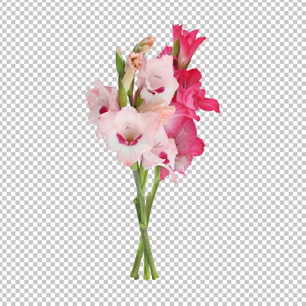 Bouquet of gladiolus flowers isolated rendering