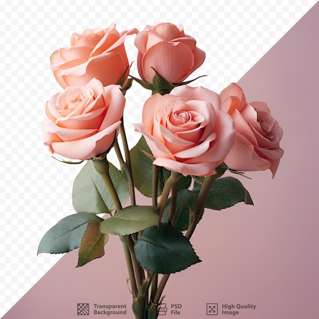 a bouquet of pink roses with the words " the name of the university of united states "