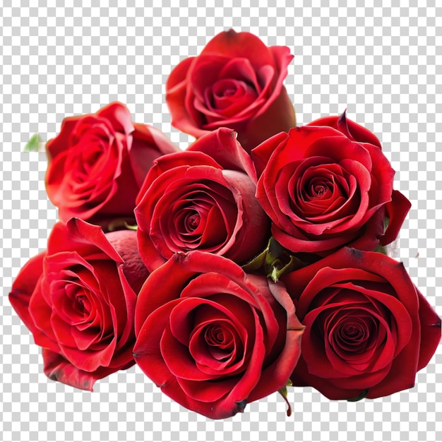 A bouquet of red roses on transparent background