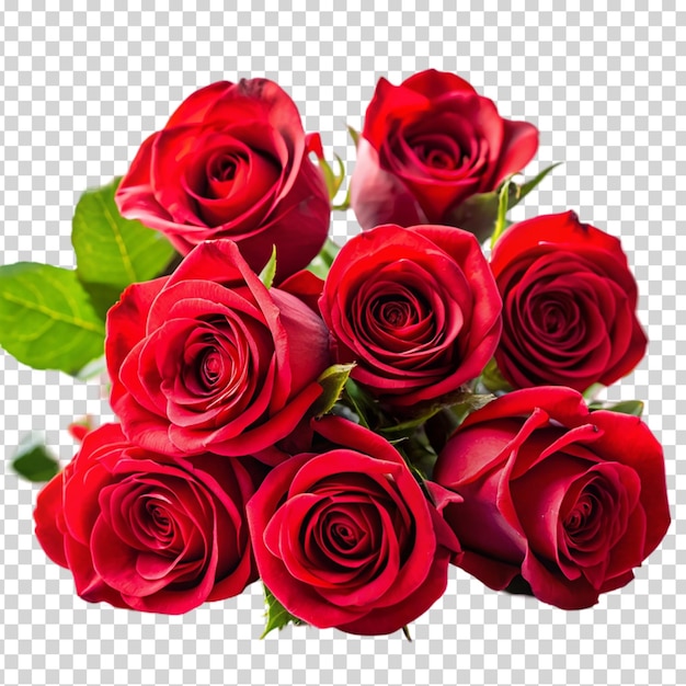 A bouquet of red roses on transparent background