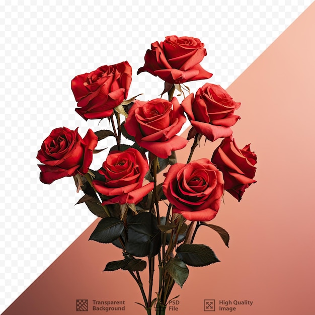 a bouquet of red roses with a background of a photo of a bouquet of red roses.