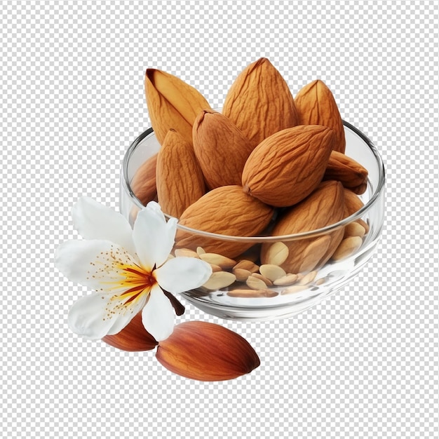 A bowl of almonds and a flower are on a white background