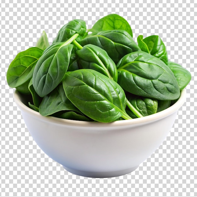 A bowl of spinach leaves on transparent background