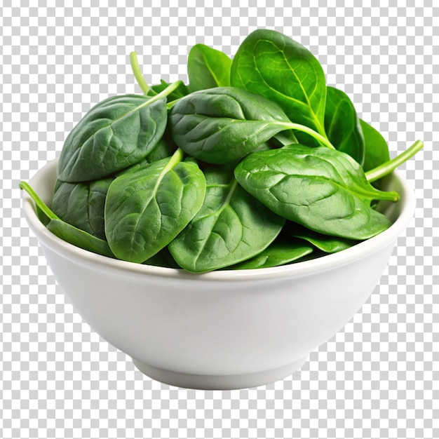 A bowl of spinach leaves on transparent background