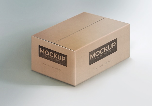 Box Packaging Cardboard Mockup Template