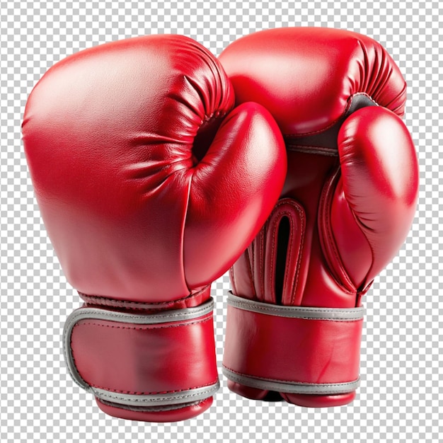 boxing transparent background