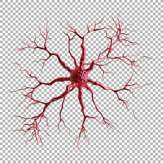 PSD brain neuron on transparent background ai generated