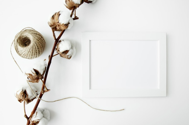 a branch of cotton hangs on a white background