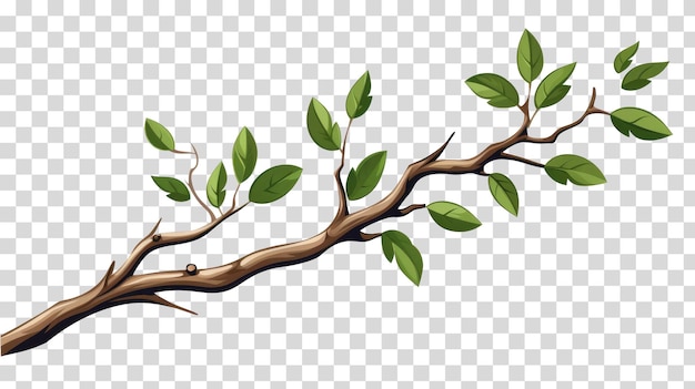 Branch isolated on transparent background vector illustration