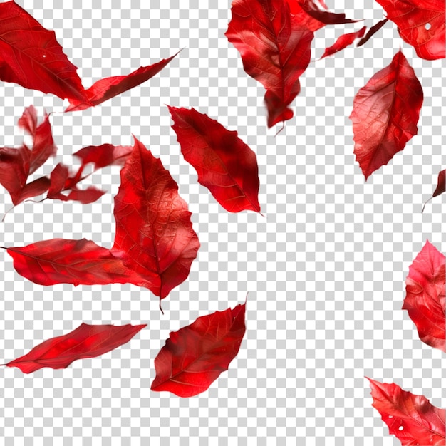 PSD a branch of red autumn leaves on a transparent background