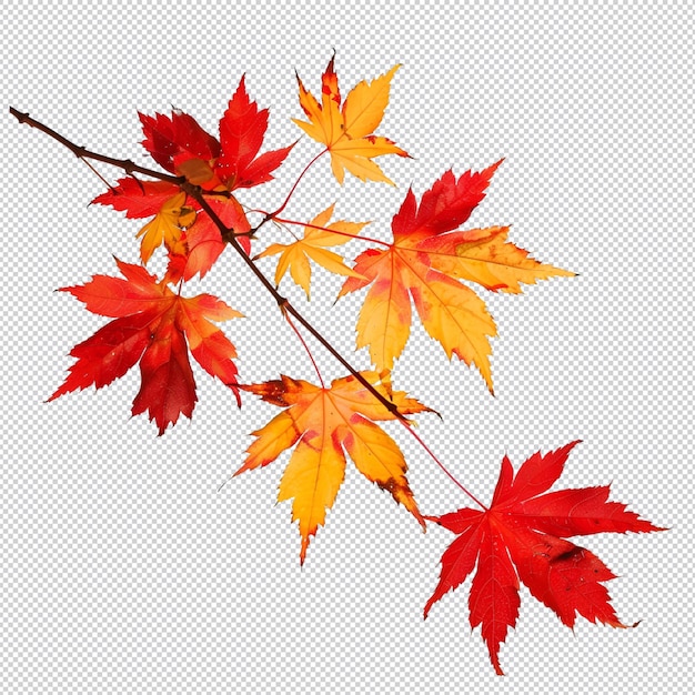 a branch with red leaves