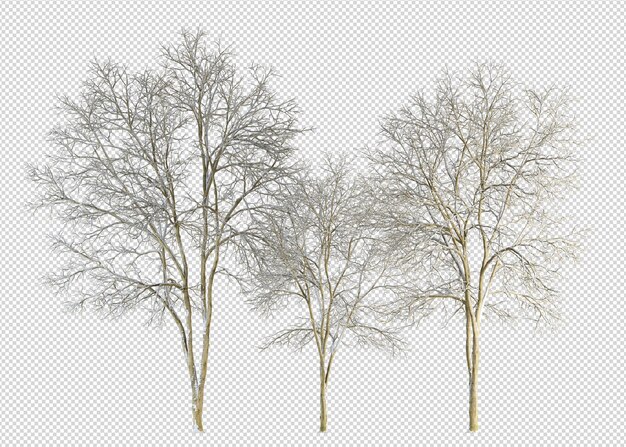 PSD branches isolated on white