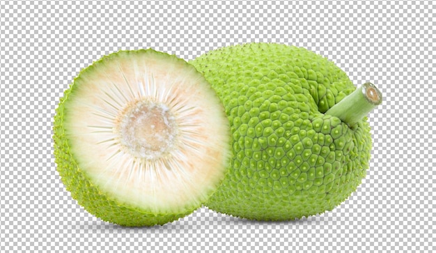 Breadfruit isolated on alpha layer