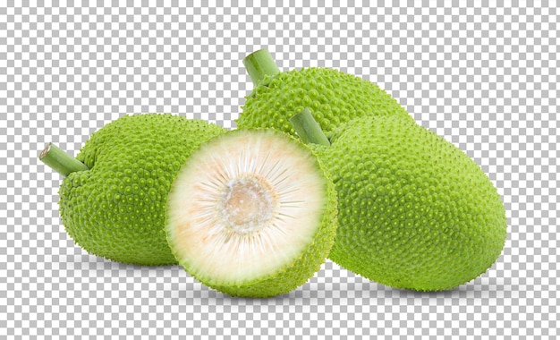 Breadfruit isolated on alpha layer