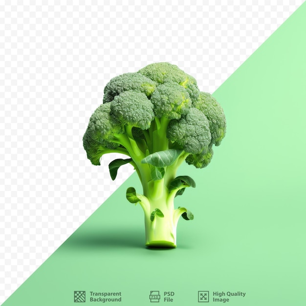 a broccoli head is standing on a green background.