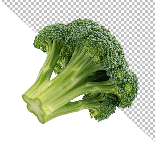 Broccoli isolated on white background full depth of field