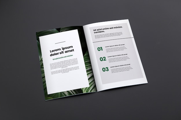 Brochure concept mock-up