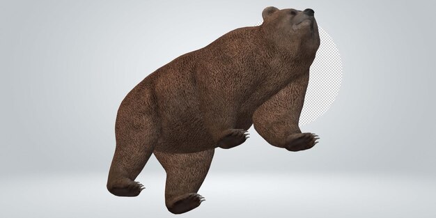 PSD brown bear isolated on a transparent background