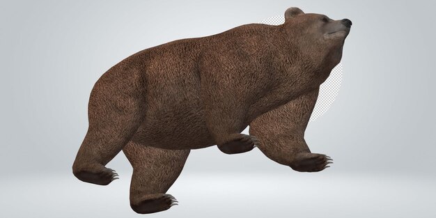 PSD brown bear isolated on a transparent background