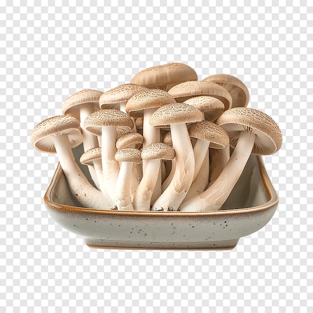 Brown beech mushrooms or Shimeji mushroom isolated on a transparent background