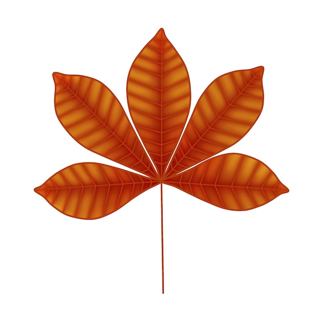 PSD brown chestnut leaf raster illustration