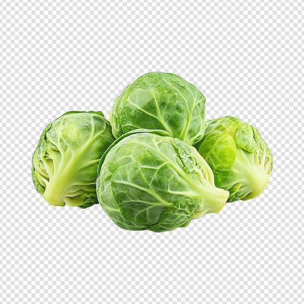 Brussels Sprouts isolated on transparent background cut out