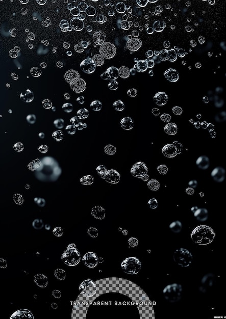 PSD bubbles in a spider web on a black background