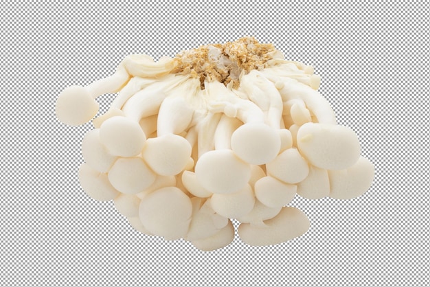 Bunapi mushroom White beech mushrooms isolated on a transparent background