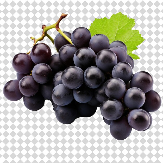 A bunch of black grapes Isolated on transparent background PSD file format