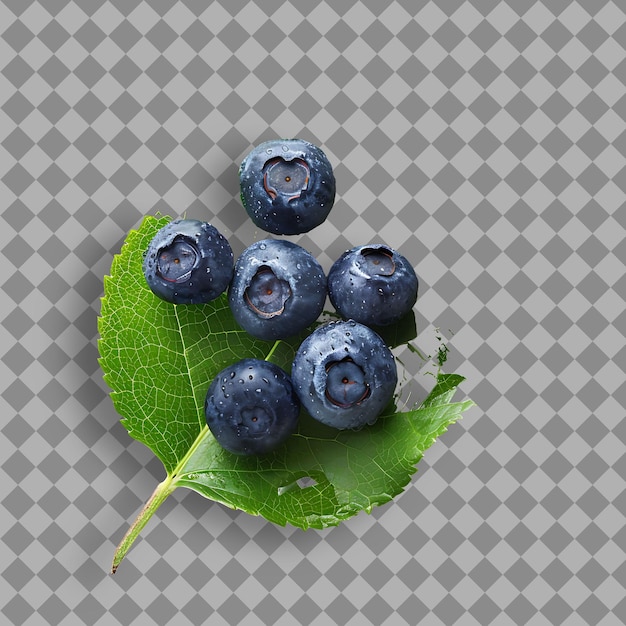 a bunch of blueberries that is on a leaf