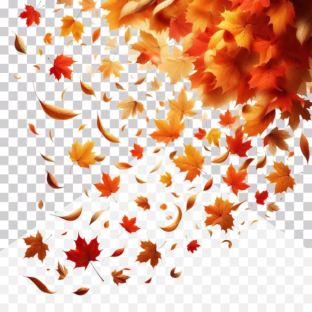 PSD a bunch of falling dry autumn leaves flowing on a transparent background