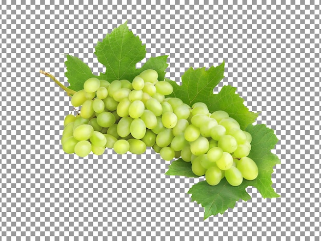 Bunch of fresh green grapes with leaves on transparent background