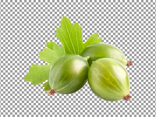 Bunch of gooseberry with green leaves on transparent background