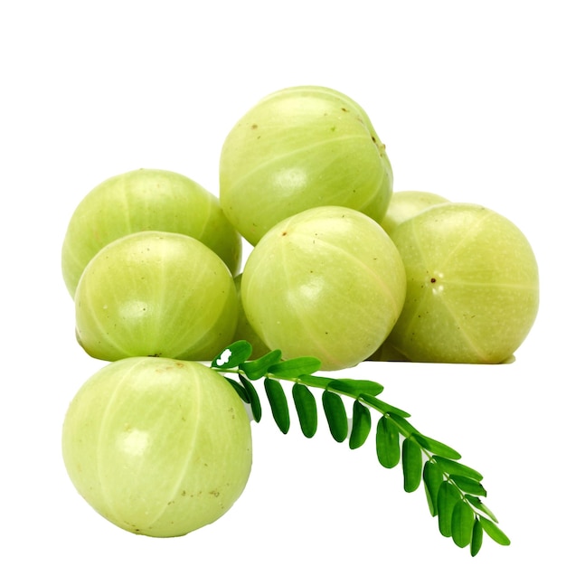 a bunch of green celery on a branch with leaves