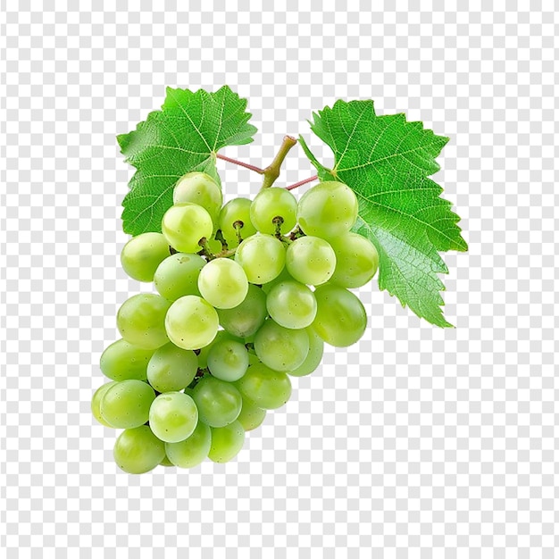 a bunch of green grapes with a green leaf on a transparent background