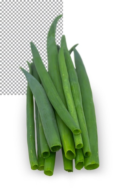 Bunch of green onion isolated on transparent background