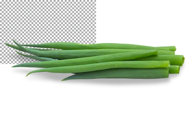 Bunch of green onion isolated on transparent background