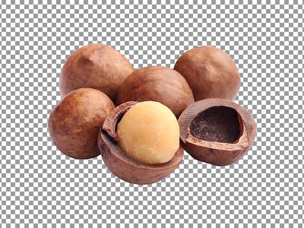 A bunch of macadamia nuts with shell isolated on transparent background