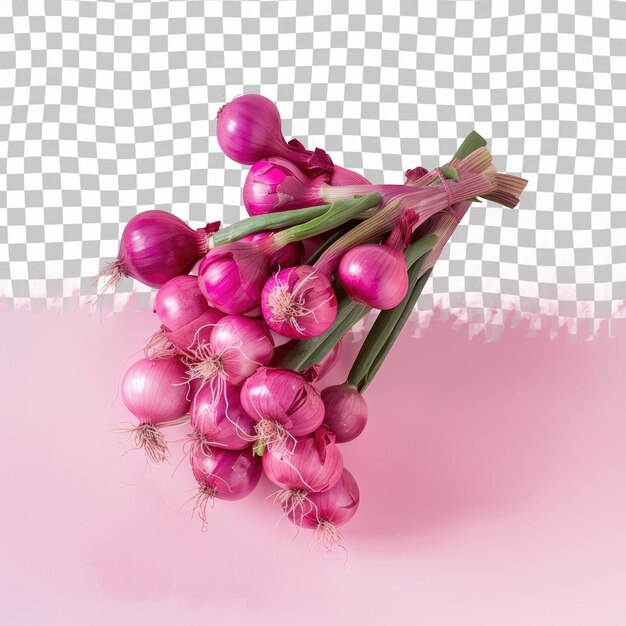 PSD a bunch of onions that are on a pink background