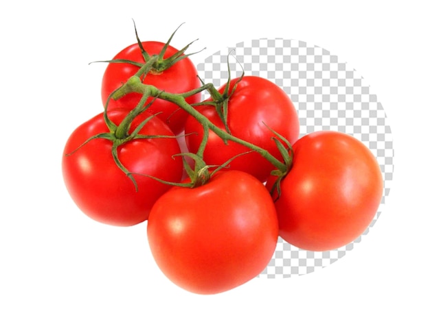 a bunch of tomatoes are on a white background with a white background