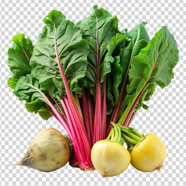 A bunch of vegetables including radishes and turnips on transparent background