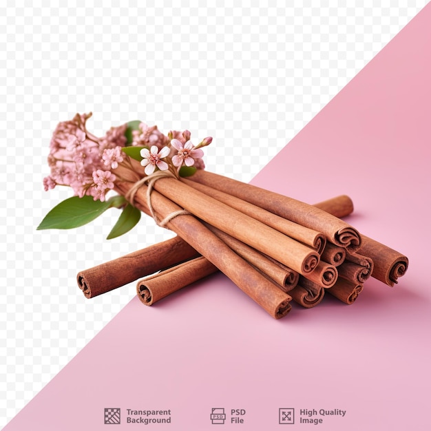 a bundle of cinnamon sticks with a pink background and a pink background with a pink background.