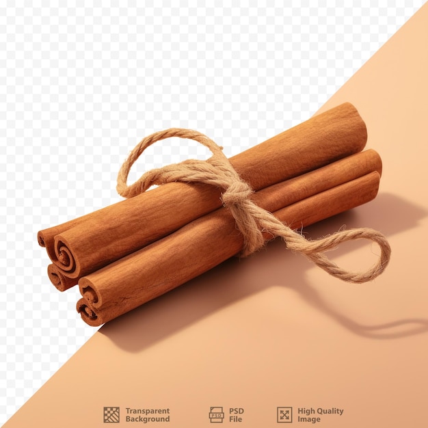 a bundle of cinnamon sticks with a string tied to it