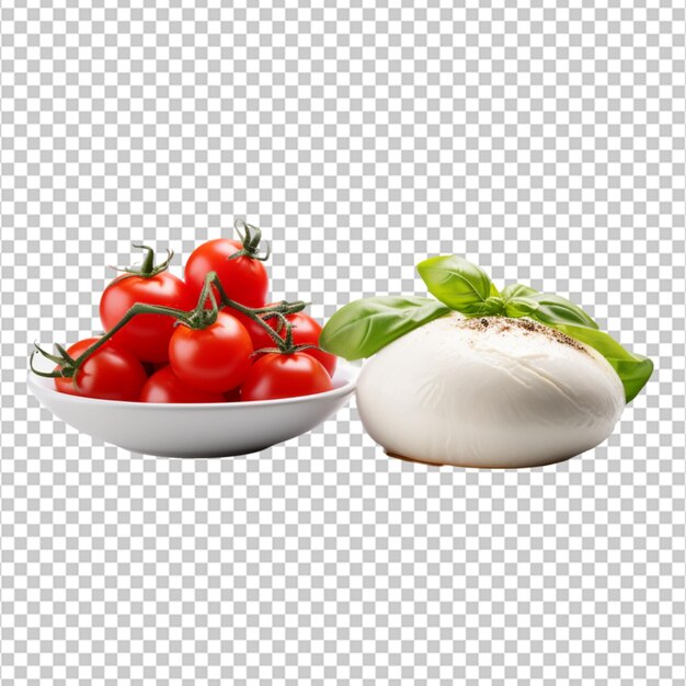 burrata vs mozzarella on white background