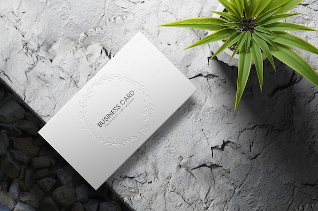 business card logo mockup psd