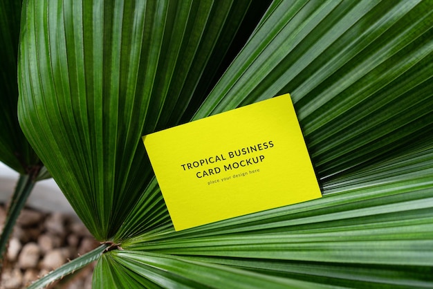 Business Card Mockup on Palm Leaf