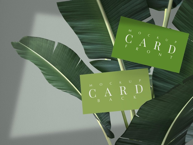 Business card mockup with nature leaf and shadow Mockup design template for presentation branding 3d RenderingxA